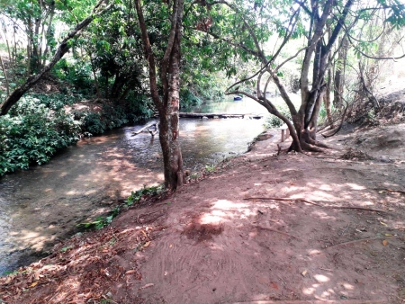 Prefeitura faz limpeza das Margens do Ribeirão Cotia